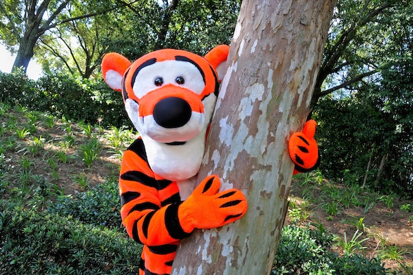 Photo0027FourBySix (03-01-2012 12:38)