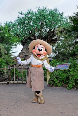 Photo0042FourBySix (03-01-2012 12:38)