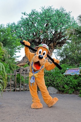 Photo0045FourBySix (03-01-2012 12:38)