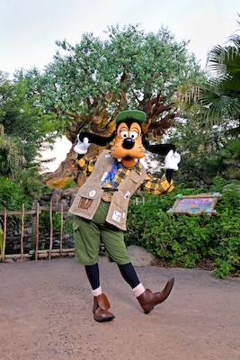 Photo0046FourBySix (03-01-2012 12:38)