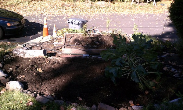 Garden layout (10-22-2010 10:19)