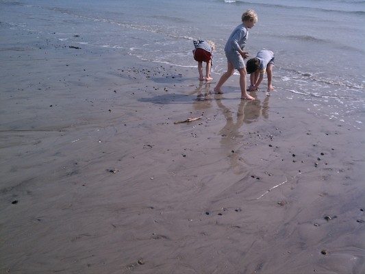 Cole, Tim and Jamie at Ferry Beach (05-07-2011 08:58)