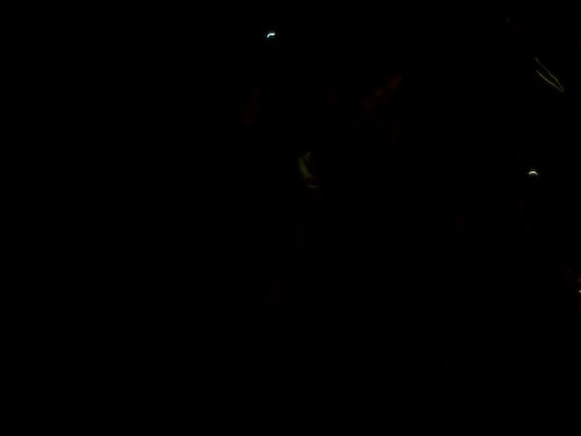 Ferry Beach Campfire (05-07-2011 20:58)