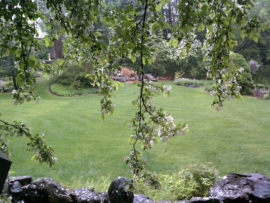 Wendell's garden (05-15-2011 14:35)