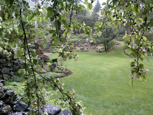 Wendell's garden (05-15-2011 14:35)