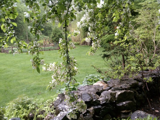 Wendell's garden (05-15-2011 14:35)