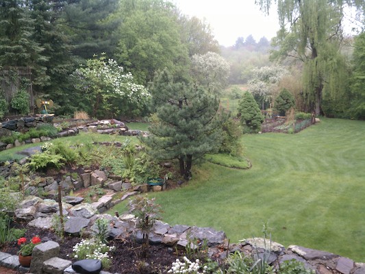 Wendell's garden (05-15-2011 14:46)