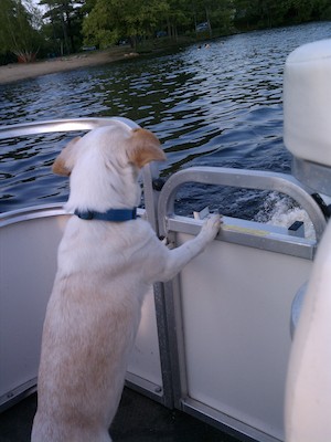 Emily checking out the wake (05-28-2011 18:38)
