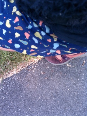 Leg shot (06-16-2011 16:02)