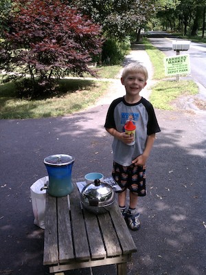 Cole lemonade stand (06-20-2011 15:01)