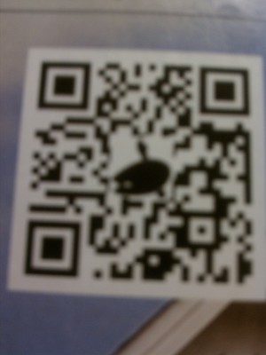 QR code (08-23-2011 19:03)