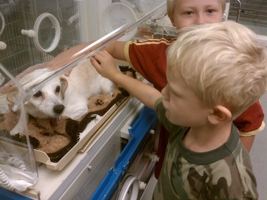 Emily in an oxygen tent with Cole and Tim (08-30-2011 09:42)