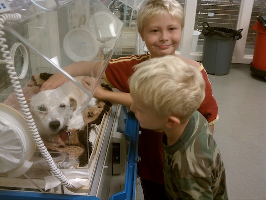 Emily in an oxygen tent with Cole and Tim (08-30-2011 09:43)
