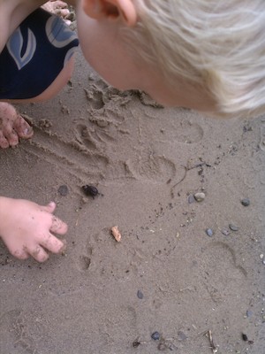 Cole and a tiny turtle (09-05-2011 15:54)