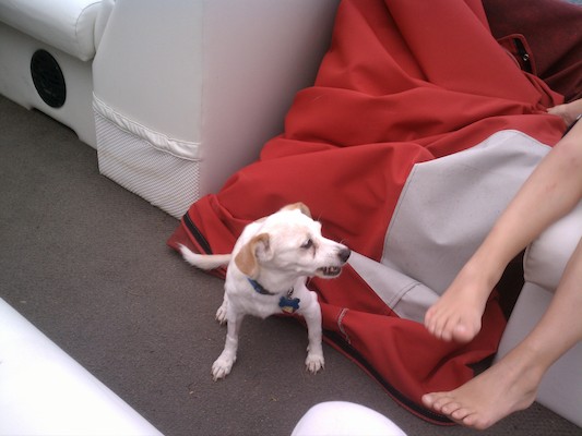 Emily growling on the boat (09-05-2011 17:53)