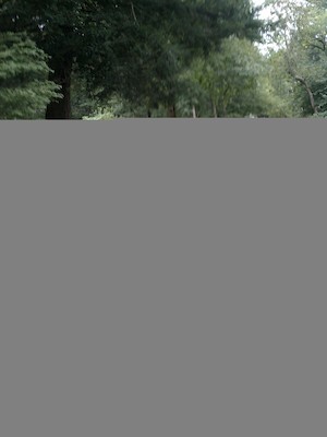 ? (09-06-2011 15:05)