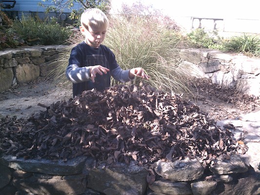 Cole making a leaf pile (10-23-2011 10:35)