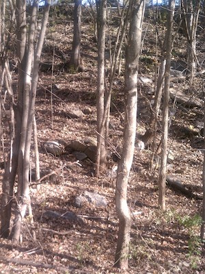 ? (11-07-2011 12:24)