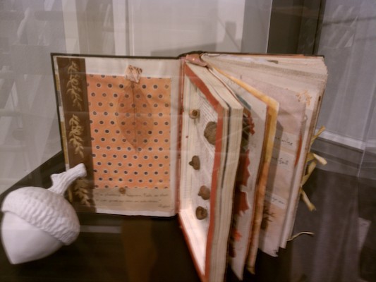 Xine's altered book in the library exhibition (11-14-2011 16:16)