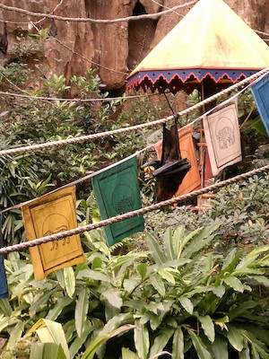 Fruit bats (02-27-2012 10:09)