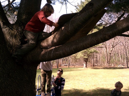Tim in a tree with Luka, Ansku and Cole (04-13-2012 15:56)