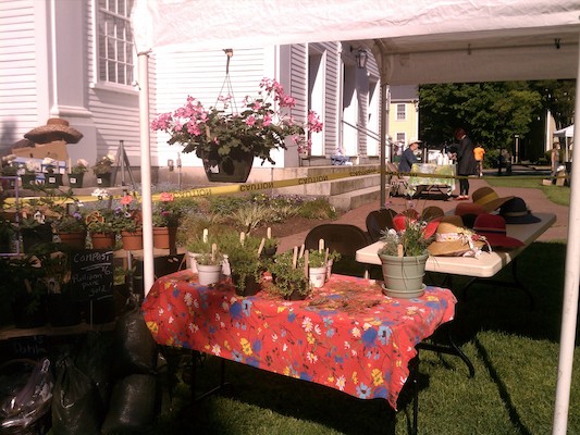 Plant fair (05-19-2012 08:56)