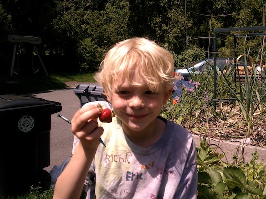 Cole and a strawberry (05-20-2012 13:41)