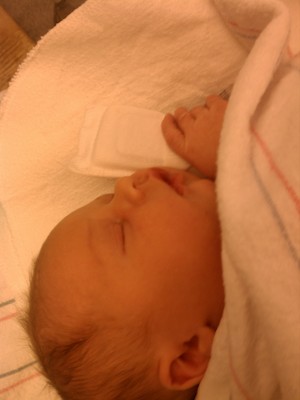 Stephen (08-08-2012 13:40)