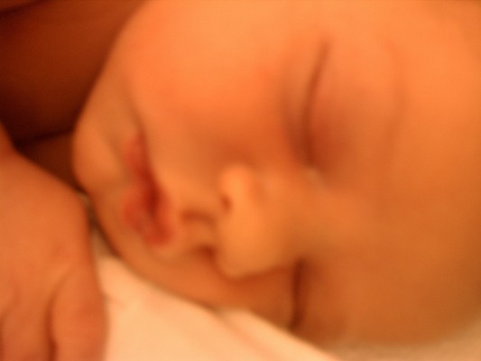 Stephen (08-08-2012 13:42)