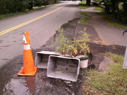 Tomato dam (08-10-2012 14:52)