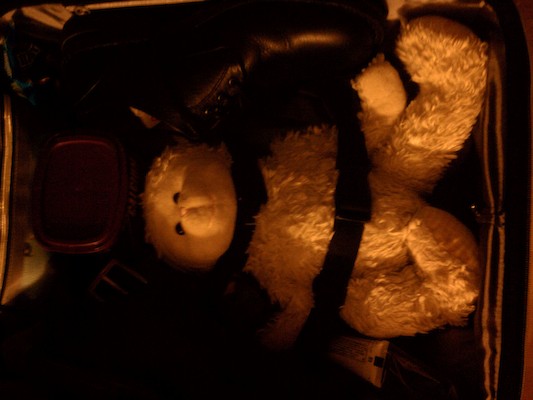 Lambie ready to travel (08-23-2012 06:08)