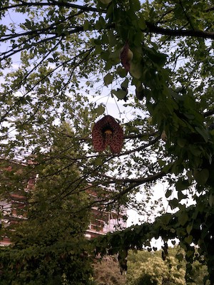 IMG_20120824_100051 (08-24-2012 10:00)