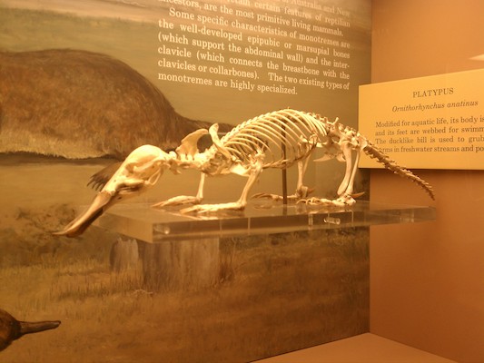 IMG_20120825_134609 (08-25-2012 13:46)