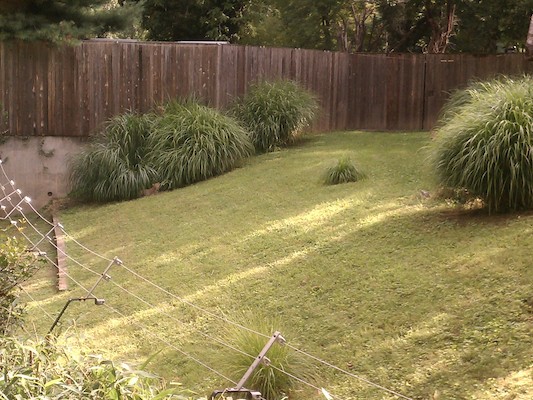 IMG_20120826_094816 (08-26-2012 09:48)