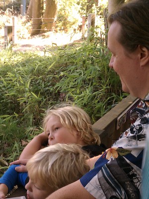 IMG_20121006_153816 (10-06-2012 15:38)