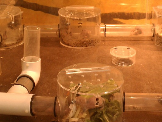 IMG_20121007_102403 (10-07-2012 10:24)