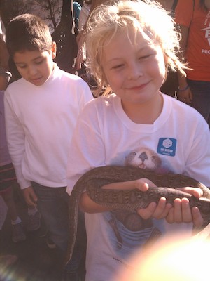 IMG_20121007_163458 (10-07-2012 16:34)