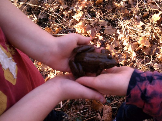 IMG_20121114_150312 (11-14-2012 15:03)