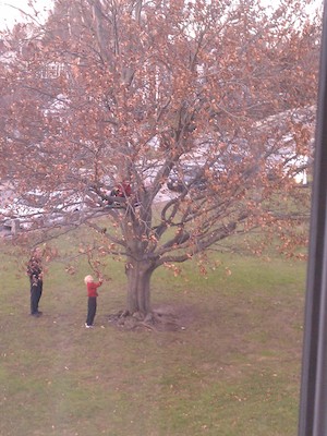 IMG_20121224_155005 (12-24-2012 15:50)