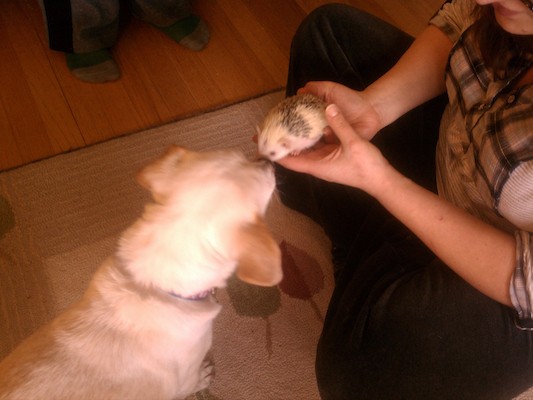 IMG_20130121_144903 (01-21-2013 14:49)