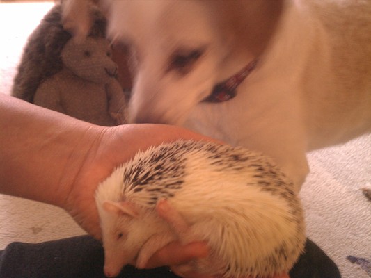 IMG_20130121_150451 (01-21-2013 15:04)