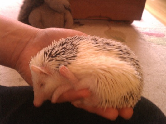 IMG_20130121_150549 (01-21-2013 15:05)