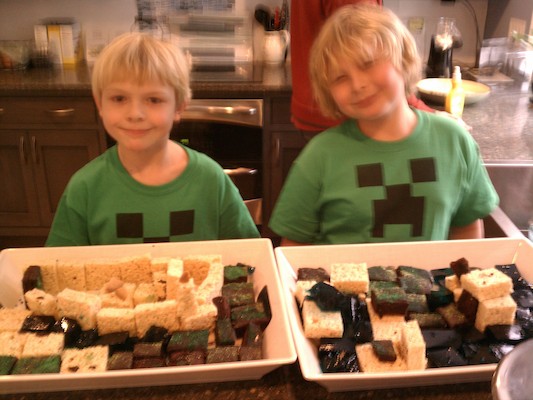 IMG_20130224_130008 (02-24-2013 13:00)