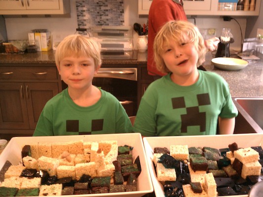 IMG_20130224_130015 (02-24-2013 13:00)