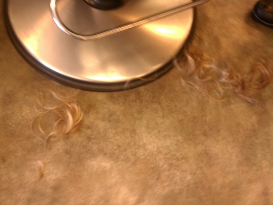 IMG_20130309_101551 (03-09-2013 10:15)