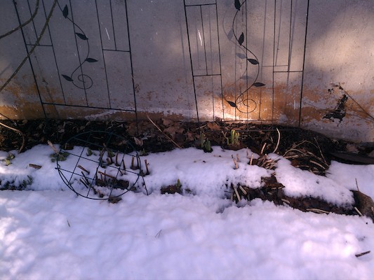 IMG_20130309_160524 (03-09-2013 16:05)