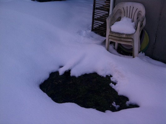 IMG_20130309_160544 (03-09-2013 16:05)