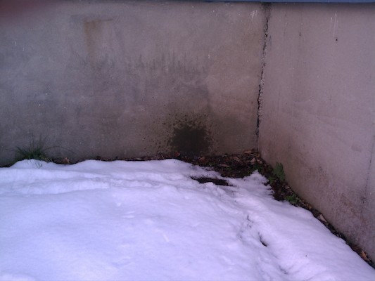 IMG_20130309_160607 (03-09-2013 16:06)