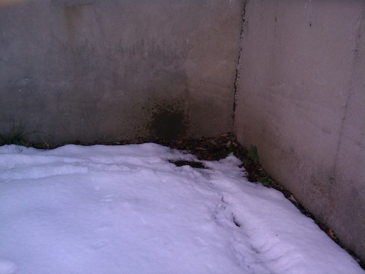 IMG_20130309_160613 (03-09-2013 16:06)