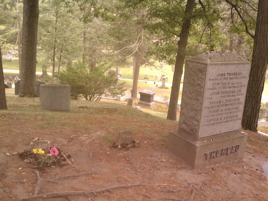 IMG_20130818_155714 (08-18-2013 15:57)